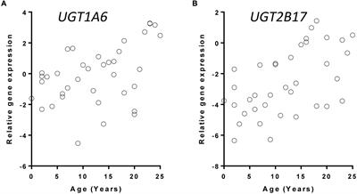 Age-Dependent Hepatic UDP-Glucuronosyltransferase Gene Expression and Activity in Children